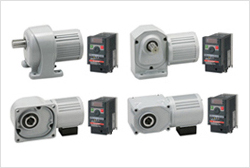 IPM Gear Motor